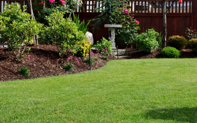 Save the Grass with Lawn Overseeding